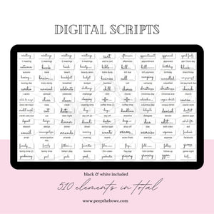 Everyday Scripts 2.0