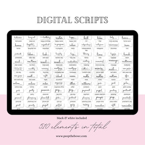 Everyday Scripts 2.0