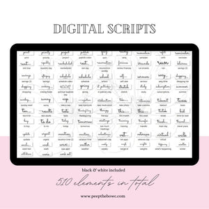 Everyday Scripts 2.0