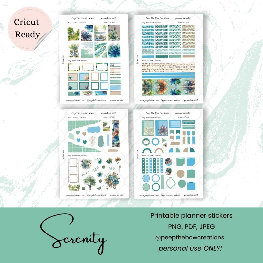 Serenity Sticker kit DSP-30